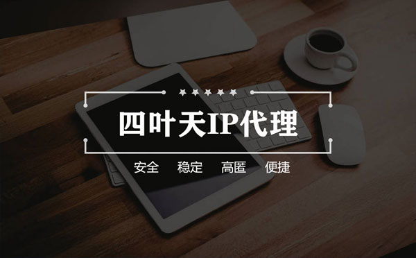 【白沙代理IP】如何快速搭建代理IP？怎么检查代理的效果？
